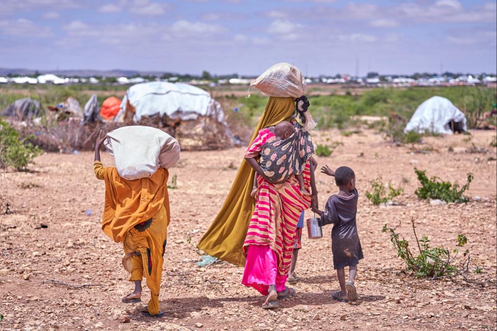 Tackling Climate-Induced Migration in Africa: Innovative Solutions Unveiled